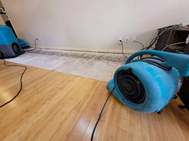 Professional Water Damage Repair technician working in Chelan Falls, WA